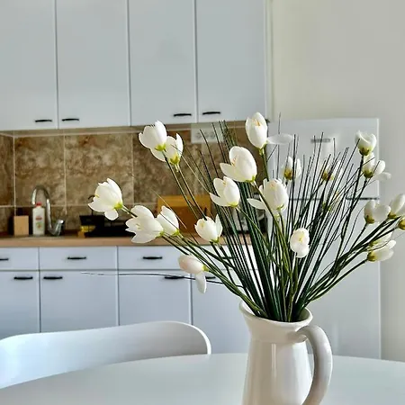 Apartament Victoria Skopje